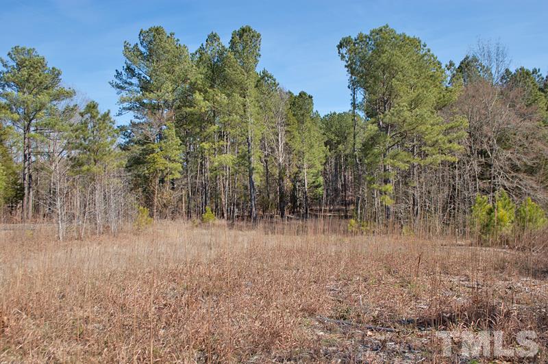 3000 Horseshoe Road Creedmoor, NC 27522 - Photo 4 of 12