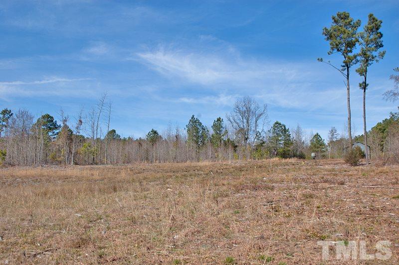 3000 Horseshoe Road Creedmoor, NC 27522 - Photo 6 of 12