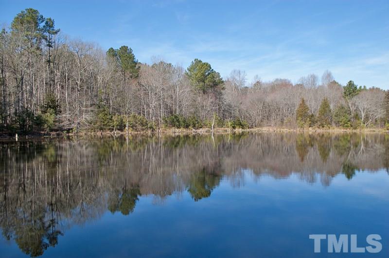 3000 Horseshoe Road Creedmoor, NC 27522 - Photo 7 of 12