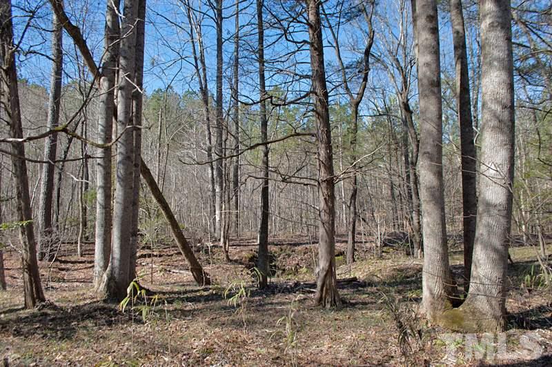 3000 Horseshoe Road Creedmoor, NC 27522 - Photo 9 of 12