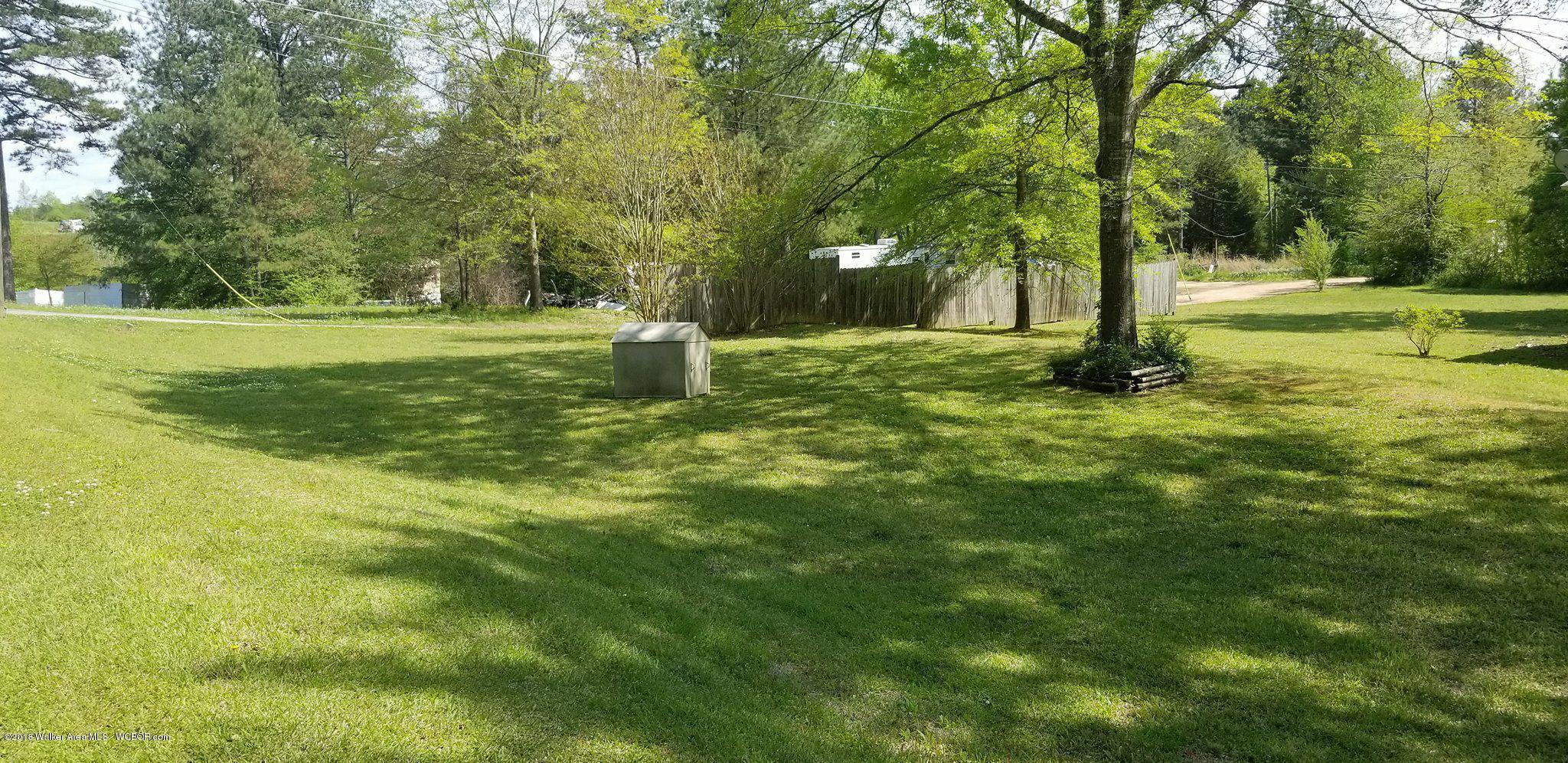 3677 Holly Grove Road Jasper, AL 35501 - Photo 6 of 32 Gallery Image 6