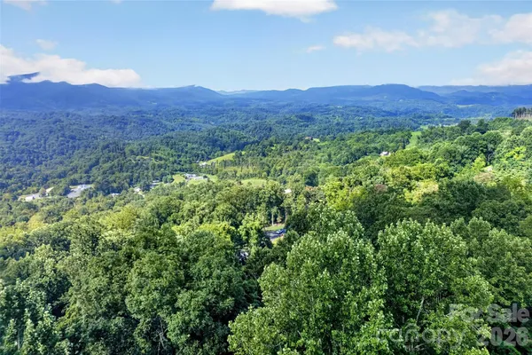 a view of a lush green hillside and a houses