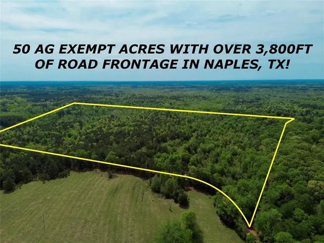 $241,900 | 0 County Road 2742, Naples, TX 75568