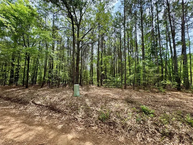 $241,900 | 0 County Road 2742, Naples, TX 75568