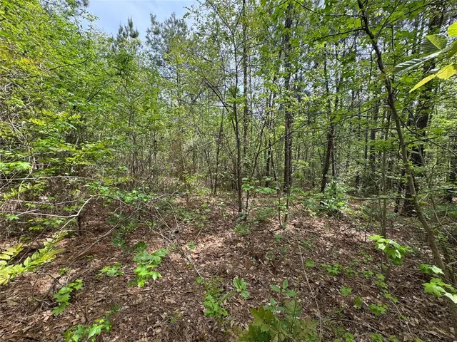 $241,900 | 0 County Road 2742, Naples, TX 75568