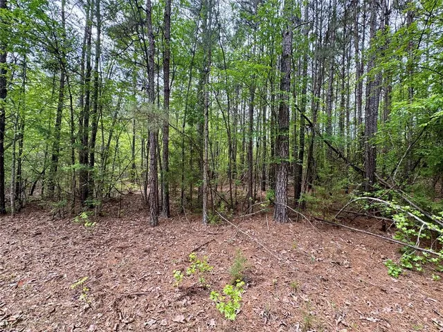 $241,900 | 0 County Road 2742, Naples, TX 75568