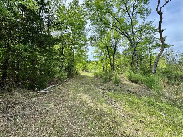 $241,900 | 0 County Road 2742, Naples, TX 75568