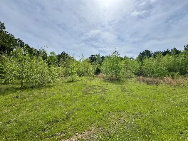 $241,900 | 0 County Road 2742, Naples, TX 75568