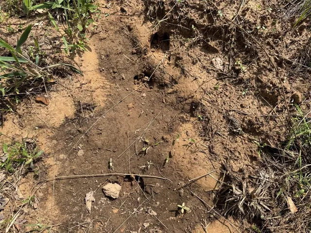 $241,900 | 0 County Road 2742, Naples, TX 75568