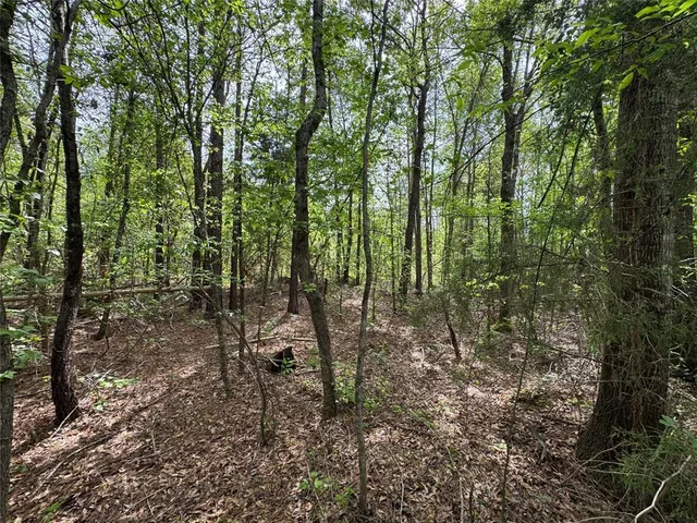 $241,900 | 0 County Road 2742, Naples, TX 75568