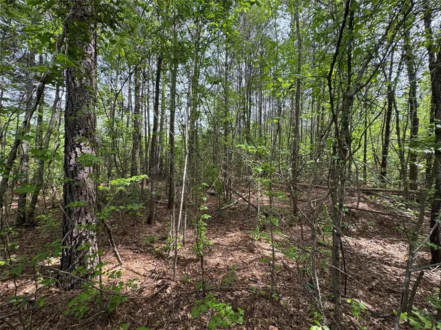 $241,900 | 0 County Road 2742, Naples, TX 75568