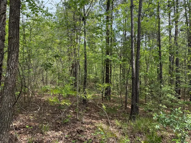 $241,900 | 0 County Road 2742, Naples, TX 75568