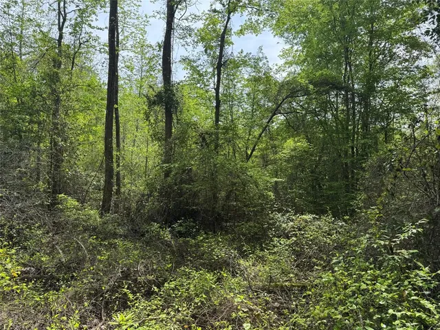 $241,900 | 0 County Road 2742, Naples, TX 75568