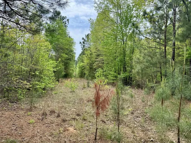 $241,900 | 0 County Road 2742, Naples, TX 75568