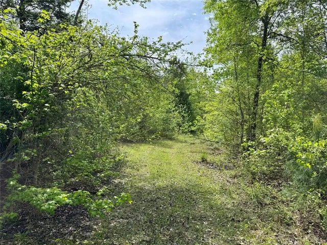 $241,900 | 0 County Road 2742, Naples, TX 75568