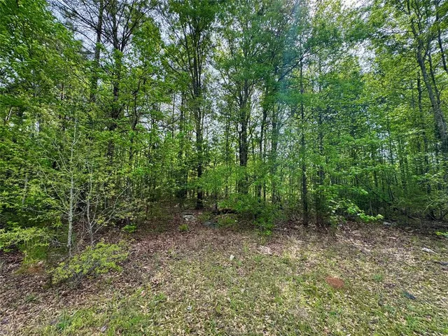 $241,900 | 0 County Road 2742, Naples, TX 75568