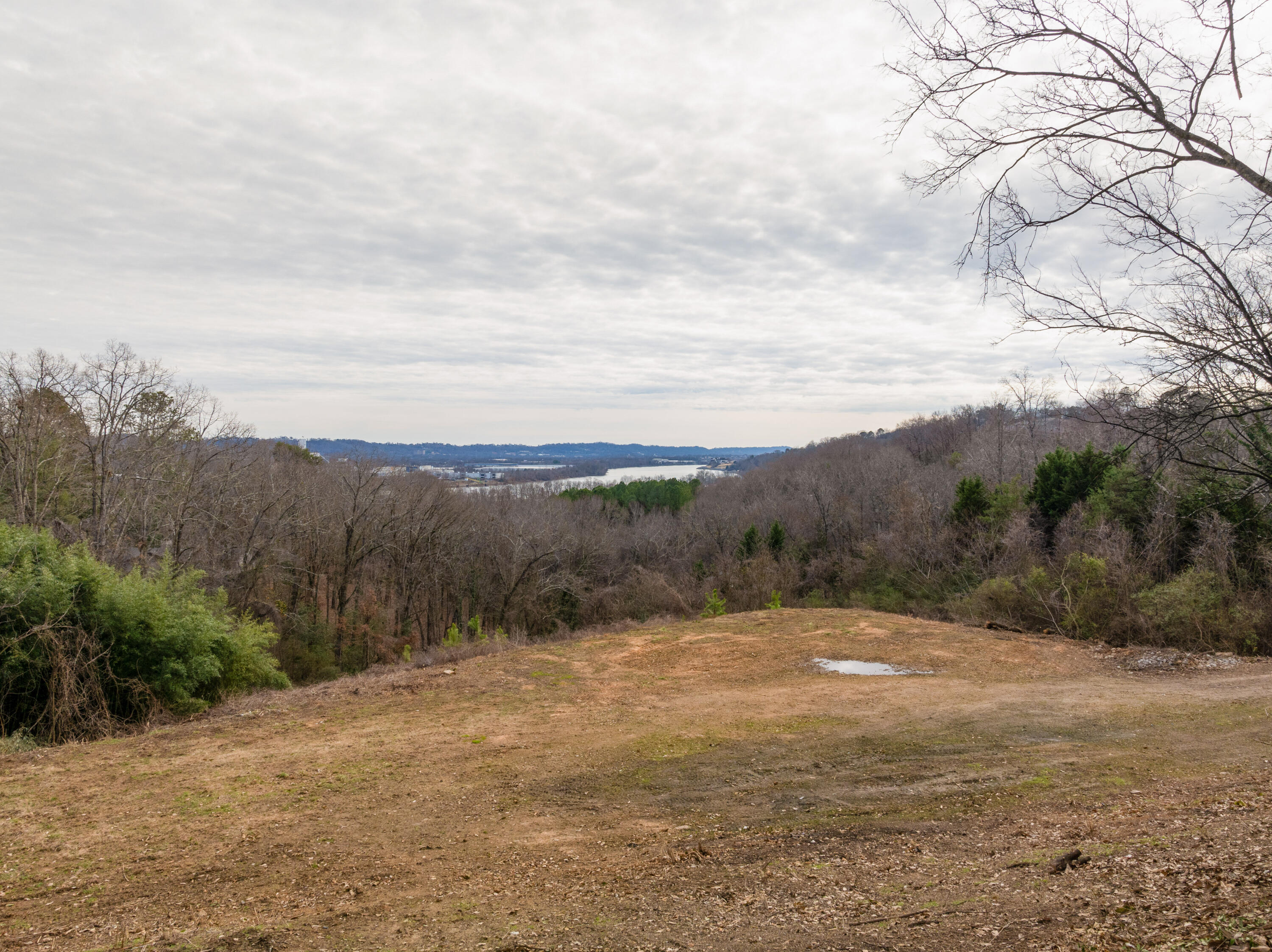 0 Rivermont Road Chattanooga, TN 37415 - Photo 15 of 17 12 - 0 Rivermont Rd - Drone