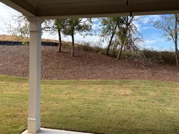 a view of a yard with a tree