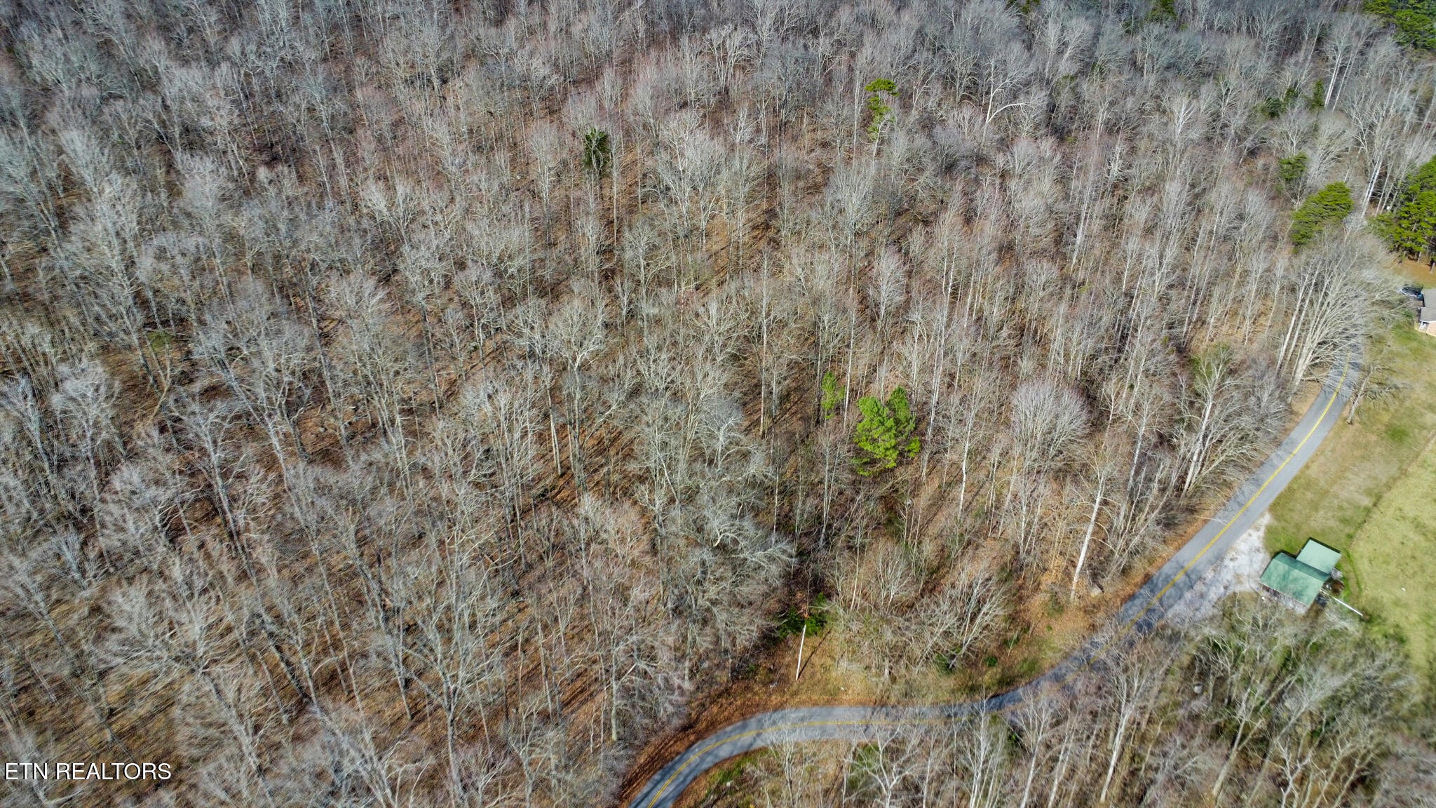 0 Shellotte Loop Pall Mall, TN 38577 - Photo 15 of 20 a view of a yard
