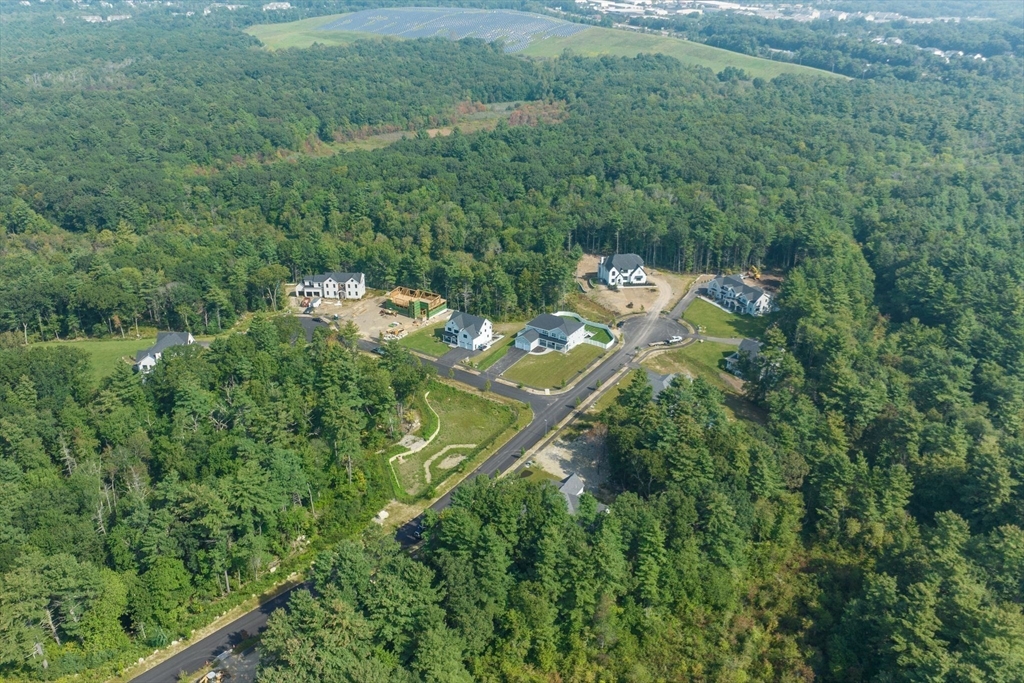 25 Holly Way Canton, MA 02021 - Photo 15 of 25 an aerial view of residential houses with outdoor space and trees