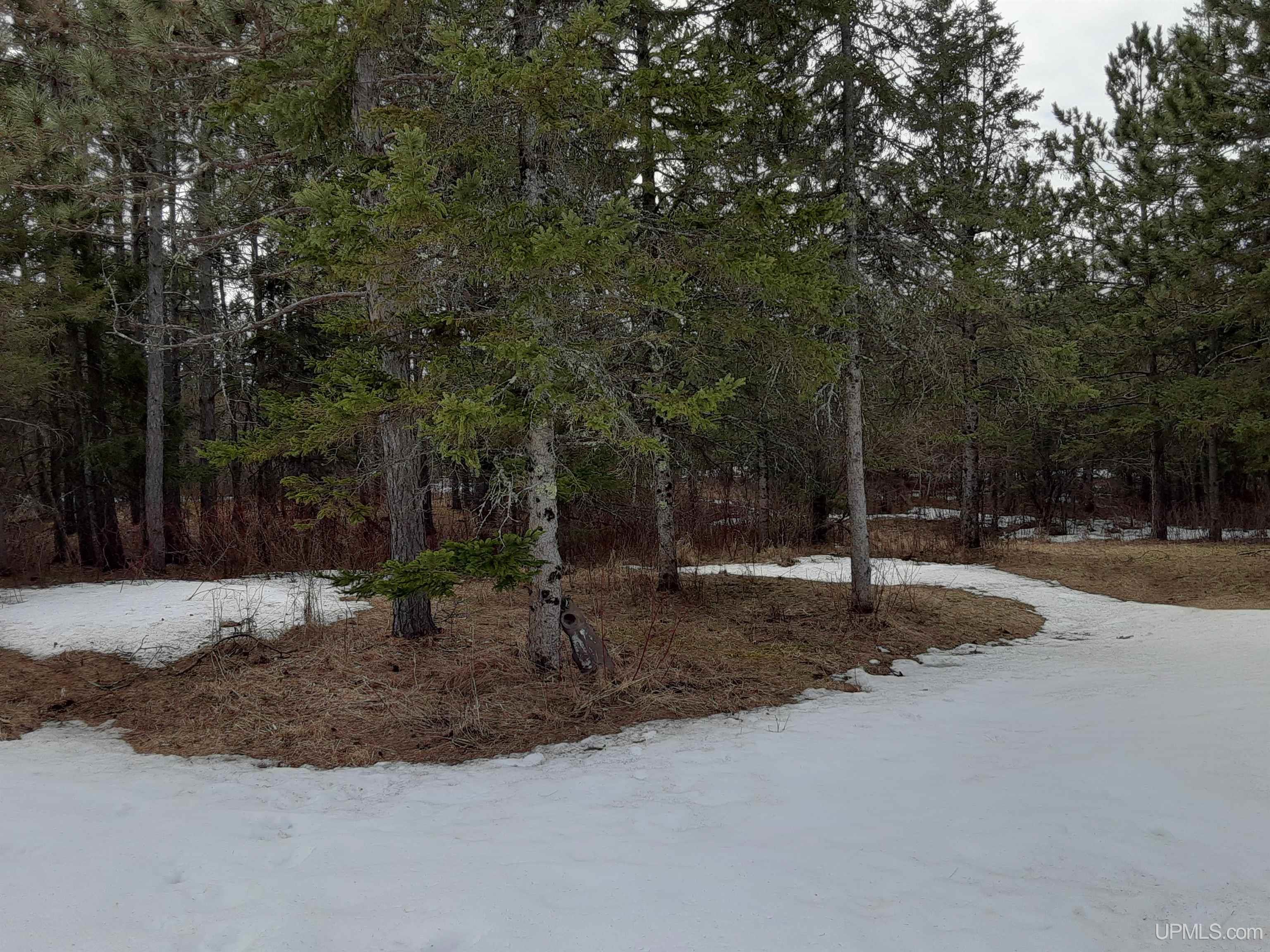 39749 Davis Road High Bridge, WI 54846 - Photo 9 of 10
