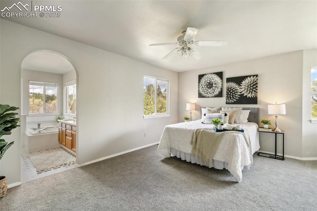 7665 Calloway Court Colorado Springs, CO 80919 - Photo 21 of 44