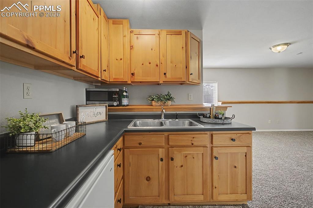 7665 Calloway Court Colorado Springs, CO 80919 - Photo 30 of 44