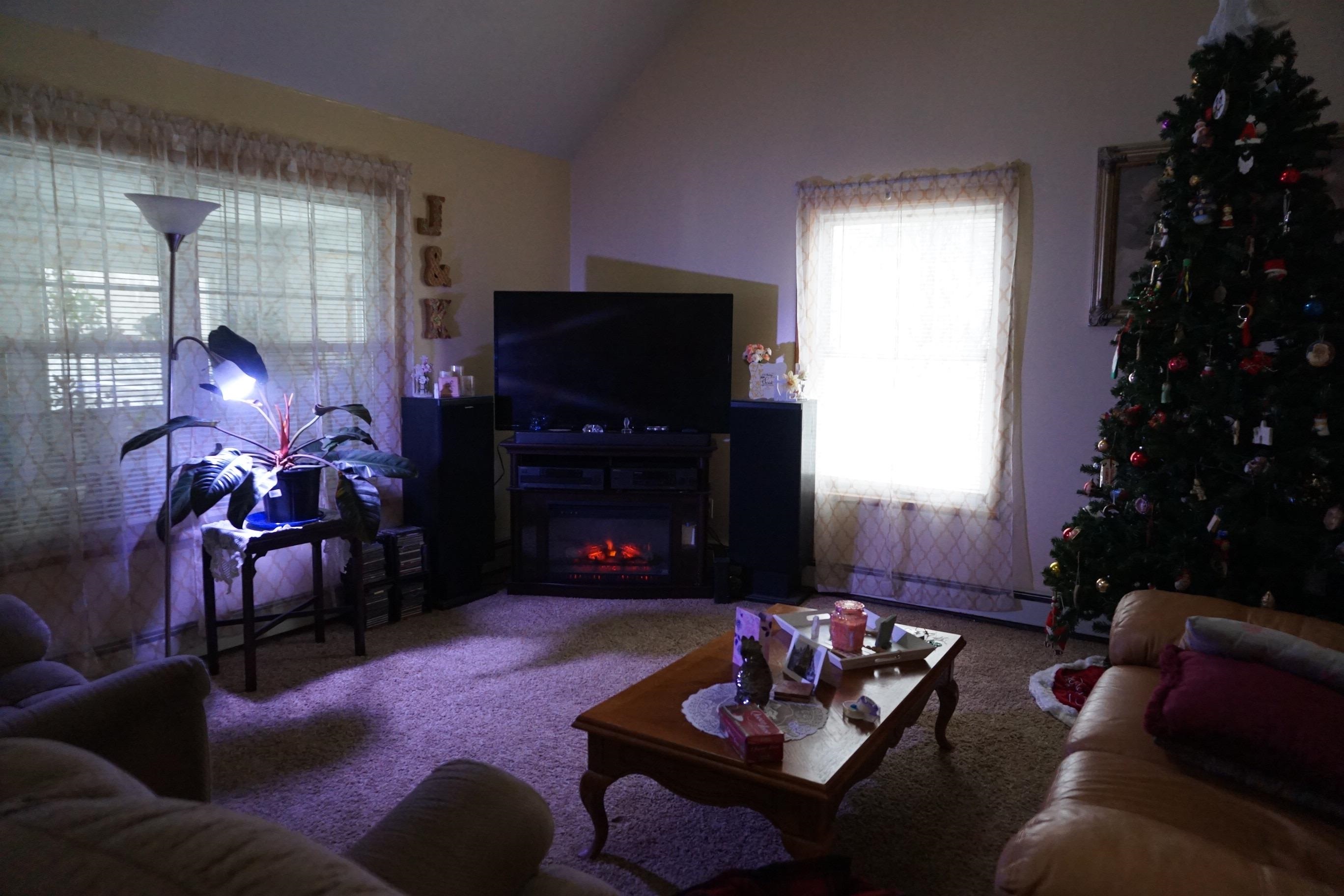 6970 Wickert Road Hale, MI 48739 - Photo 9 of 29