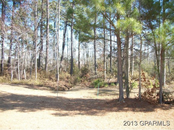 430 Lake Road, Unit B Greenville, NC 27834 - Photo 3 of 14 Additional Photo