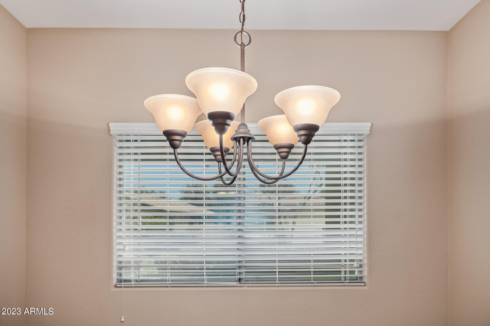 763 West Trellis Road San Tan Valley, AZ 85140 - Photo 11 of 34 11-Trellis