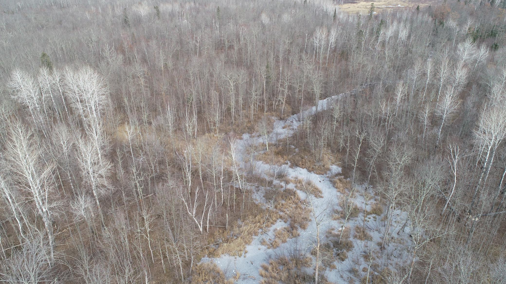 14560 Lundquist Road Dairyland, WI 54830 - Photo 12 of 26 Gallery Image 12
