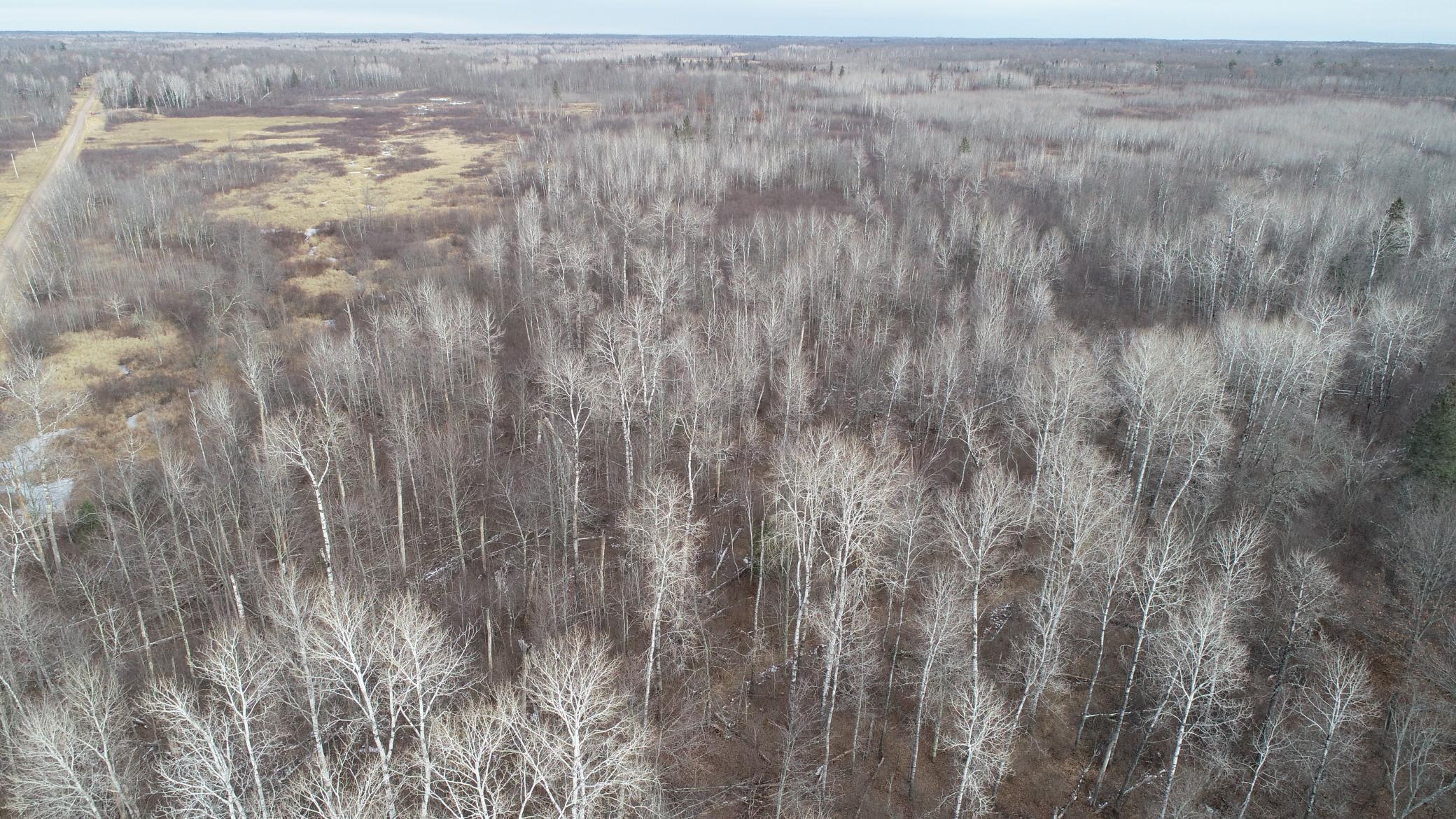 14560 Lundquist Road Dairyland, WI 54830 - Photo 18 of 26 Gallery Image 18