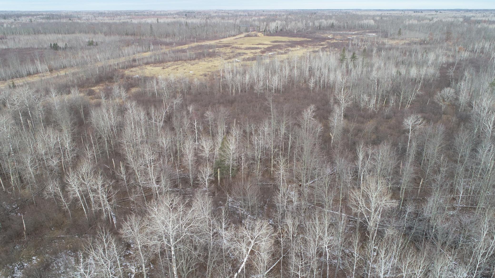 14560 Lundquist Road Dairyland, WI 54830 - Photo 20 of 26 Gallery Image 20