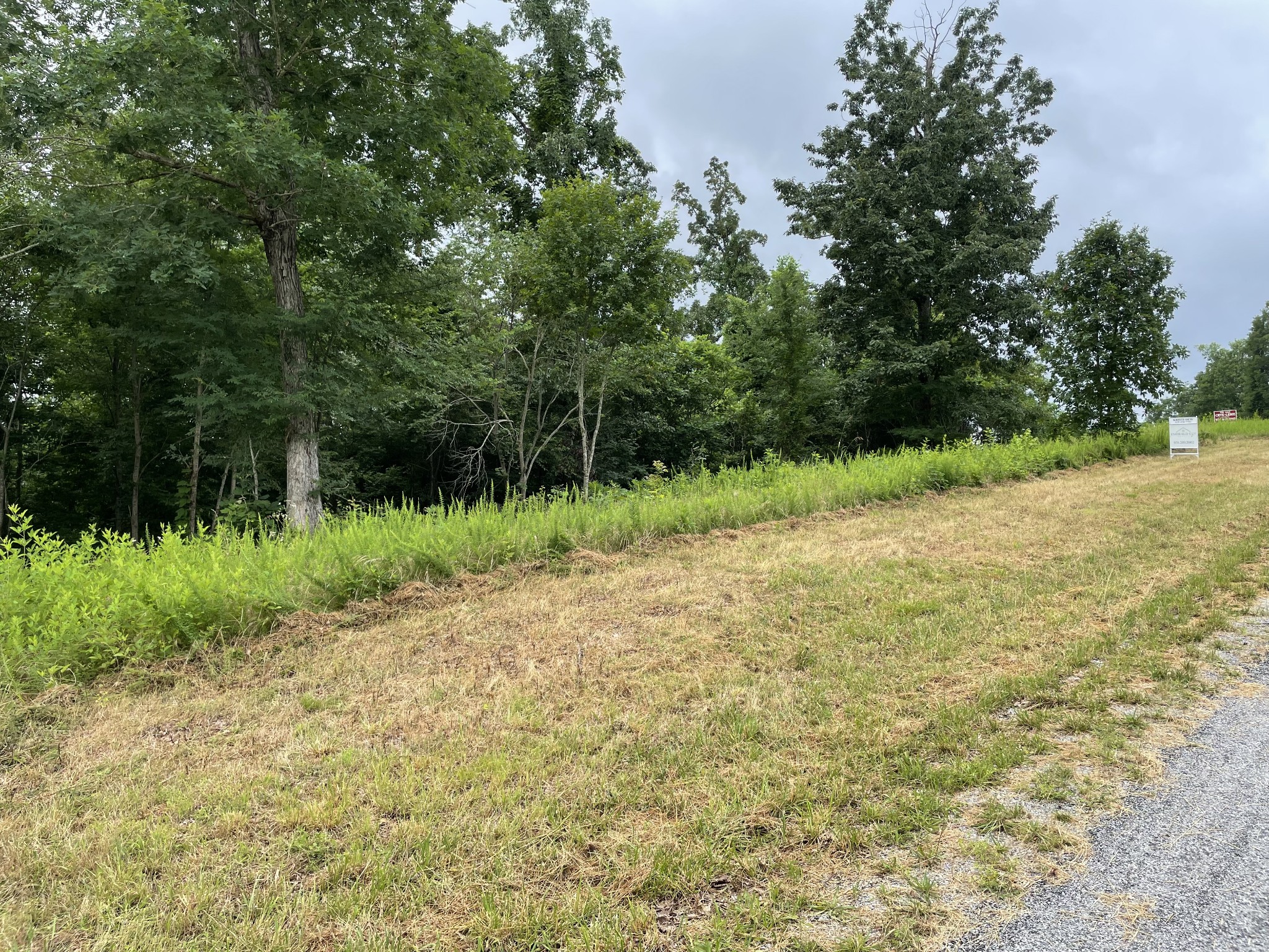 575 Pointe Of View Lane Stewart, TN 37175 - Photo 5 of 5 a view of a yard with plants and large trees