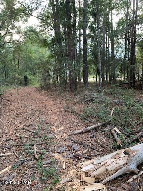 605 Mine Road Midway, FL 32343 - Photo 10 of 17 Gallery Image 10