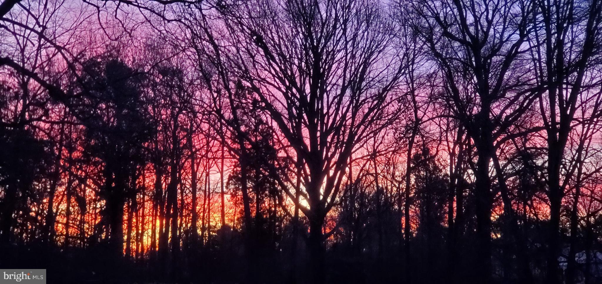 1664 Snug Harbor Road Shady Side, MD 20764 - Photo 35 of 58 Sensational sunset colors seen from your backyard