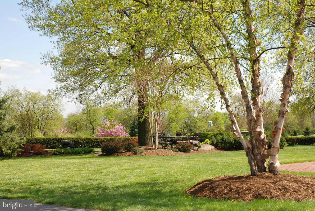 5950 Elmer Derr Road Frederick, MD 21703 - Photo 23 of 30 View