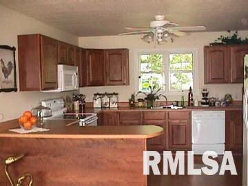 575 Wildcat Bluff Road Vienna, IL 62995 - Photo 2 of 7