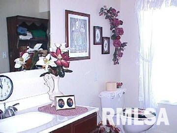 575 Wildcat Bluff Road Vienna, IL 62995 - Photo 4 of 7