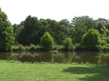 575 Wildcat Bluff Road Vienna, IL 62995 - Photo 7 of 7