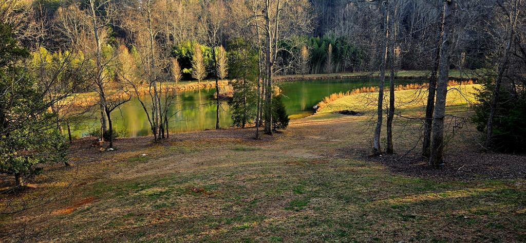 3800 Cutcane Road Mineral Bluff, GA 30559 - Photo 48 of 68