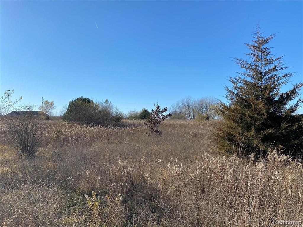 0 Dutcher Road Howell, MI 48843 - Photo 3 of 19