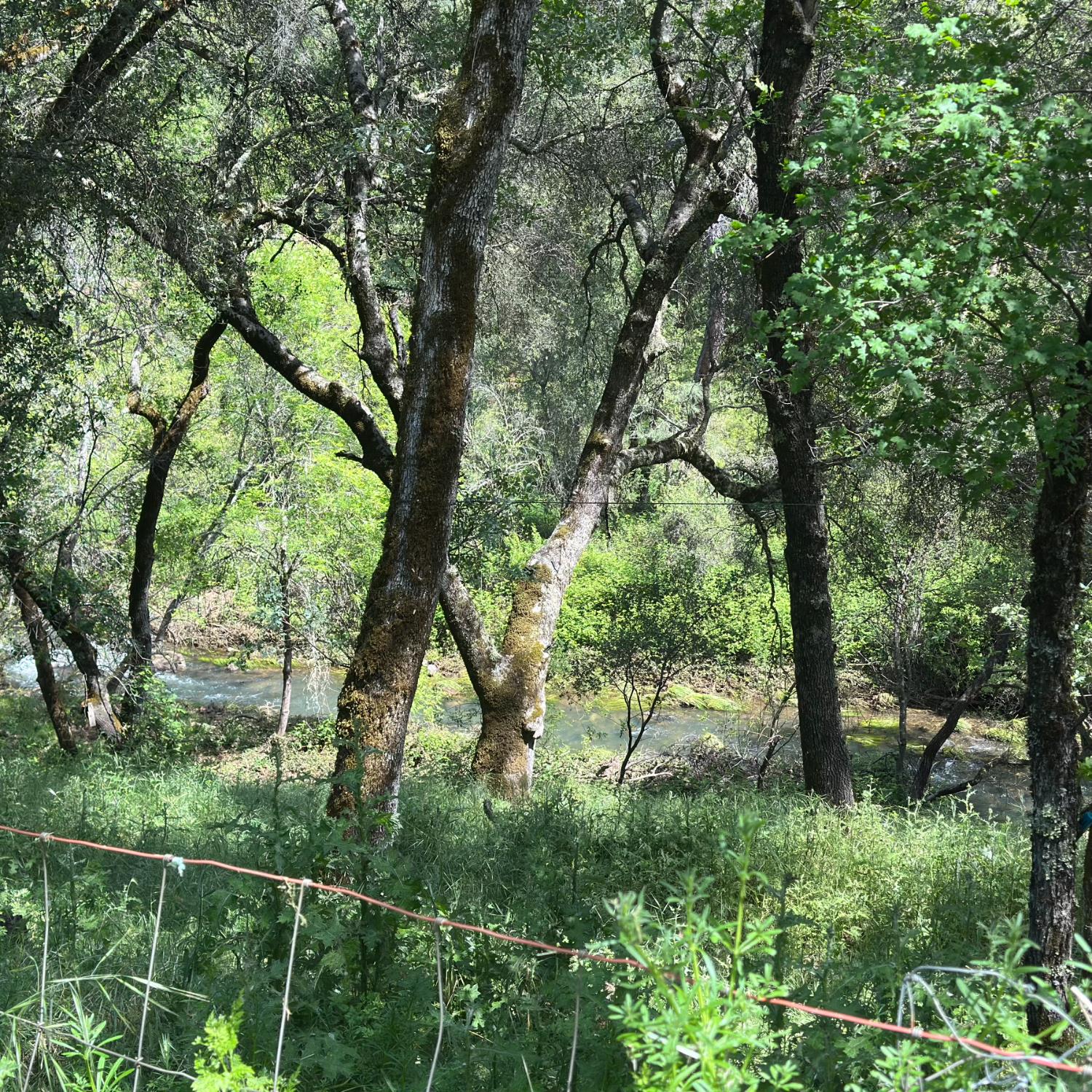 17689 Brewer Road Grass Valley, CA 95949 - Photo 17 of 17