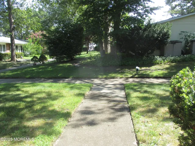a view of a yard with plants and trees