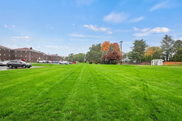 a view of a field with tree in the background