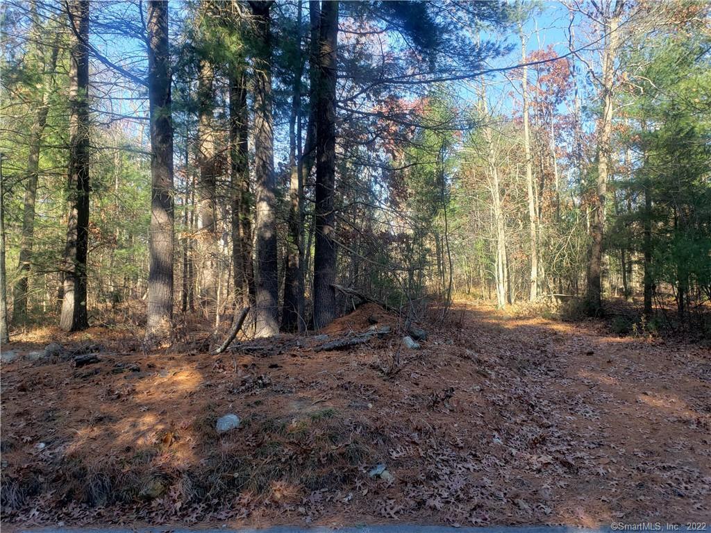 0 Parker Road Hampton, CT 06247 - Photo 1 of 1