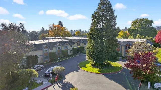 a view of a backyard with plants and a patio