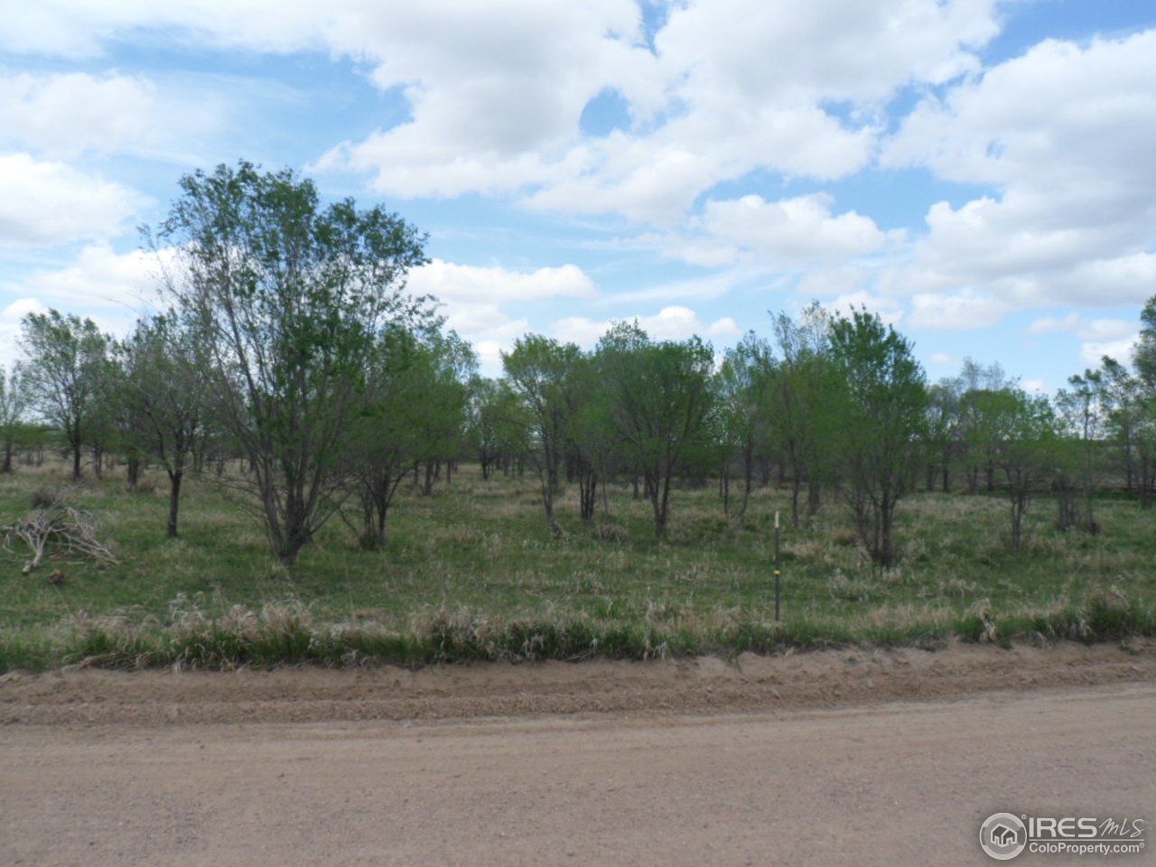 144 County Road West Weldona, CO 80653 - Photo 5 of 14 Gallery Image 5