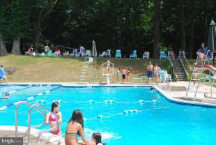 2219 Crest Road Baltimore, MD 21209 - Photo 29 of 30 Mt. Washington Swim Club