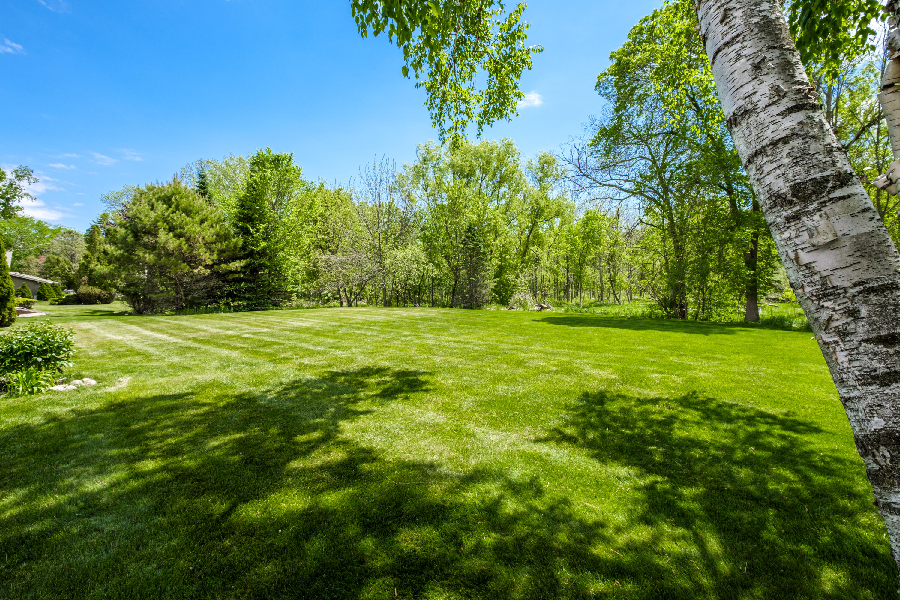 15035 Pomona Road Brookfield, WI 53005 - Photo 38 of 53 Parklike Yard